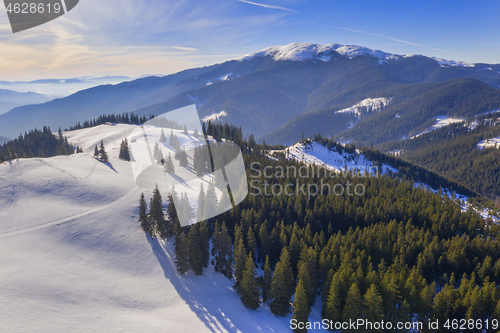 Image of Green forest and snowy mountains at sunrise
