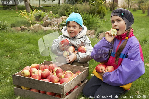 Image of Outdoors with apples