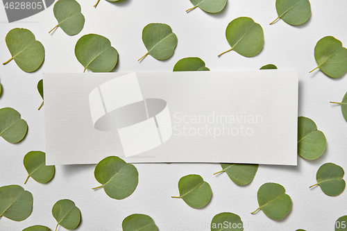 Image of Congratulation card with Eucalyptus leaves and paper for text.