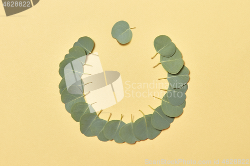 Image of Creative round frame from green small leaves of Eucalyptus on a sand yellow background.