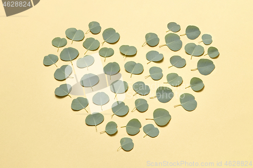 Image of Creative heart pattern from leaves of Eucalyptus plant on a sand yellow background.