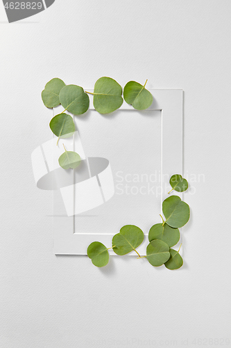 Image of Handcraft photo frame from green leaves of Eucalyptus plant.