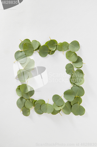 Image of Rectangular frame from green leaves of Eucalyptus plant.