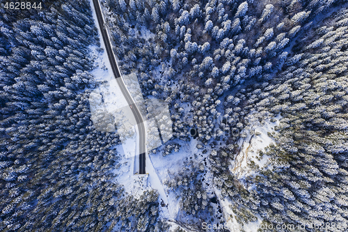 Image of Winter forest, tunnel entrance from above