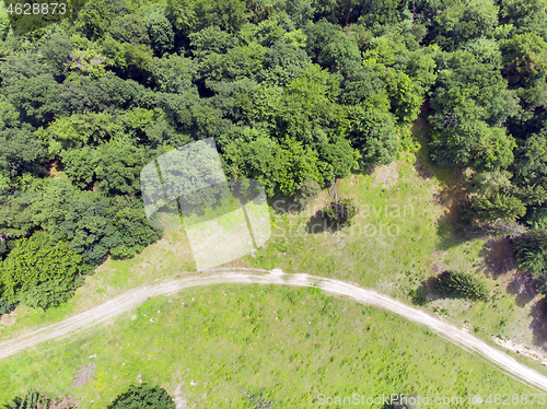 Image of Green forest and road