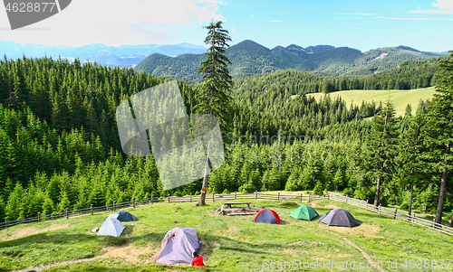 Image of Forest camping with beautiful view