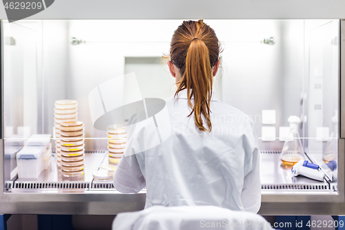 Image of Female scientist working in corona virus vaccine development laboratory research facility.