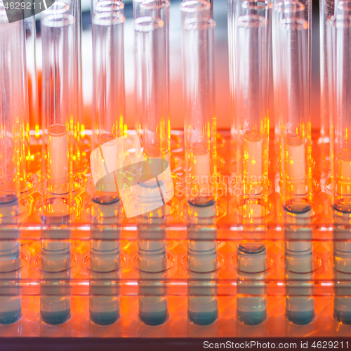 Image of Glass test tubes containing blue liquid on warm orange background.