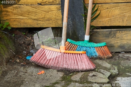 Image of Brooms in a garden