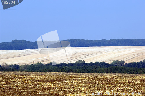 Image of Harvest time