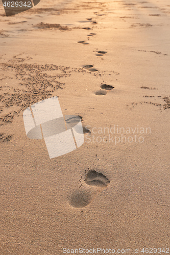 Image of Footsteps in Sand