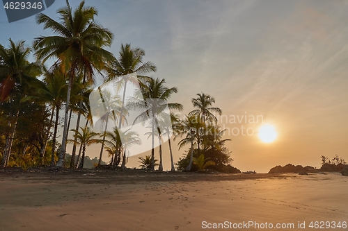 Image of Sandy ocean beach sunset landscape