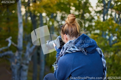 Image of Photographer in the forest