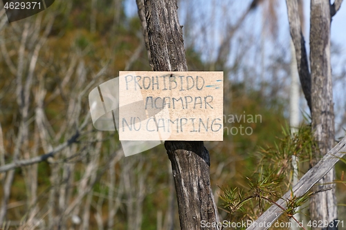 Image of No camping sign on a tree in Spanish and English