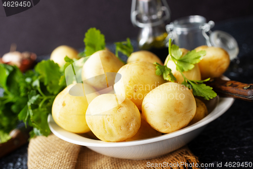 Image of raw potato