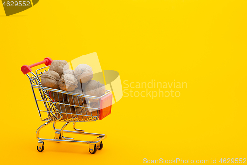 Image of Walnuts are in the grocery basket, bright orange background