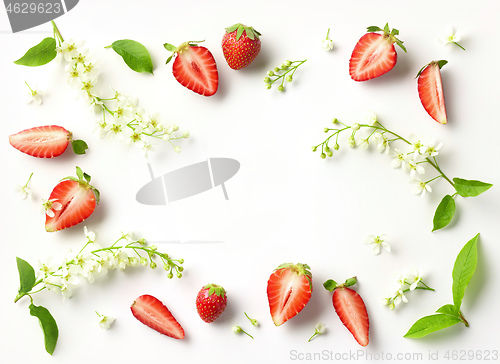 Image of blooming bird cherry and strawberries
