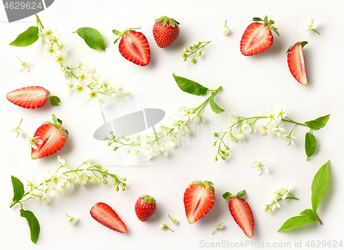 Image of blooming bird cherry and strawberries