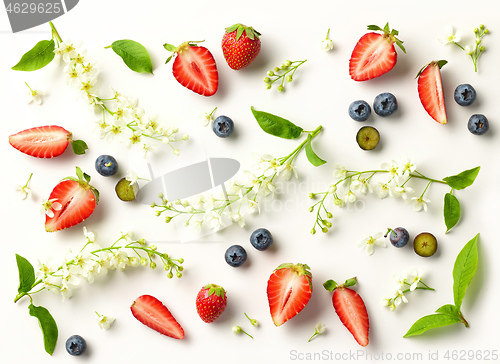 Image of blooming bird cherry and fresh berries