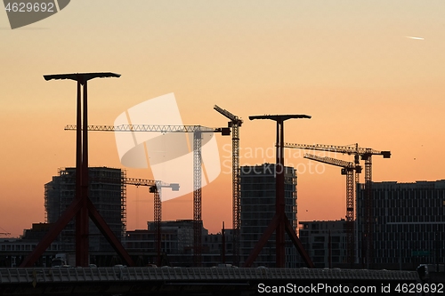 Image of Tall Construction Cranes
