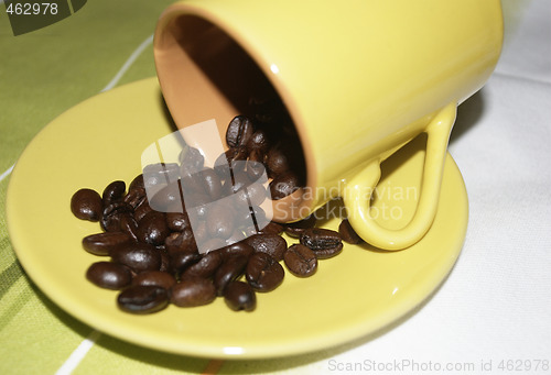 Image of Brazilian coffee grains in a cup