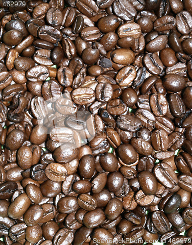 Image of Brazilian coffee grains