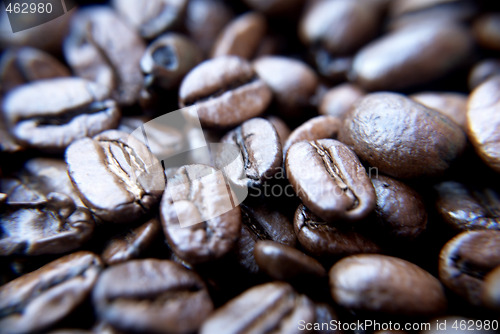 Image of Brazilian coffee grains