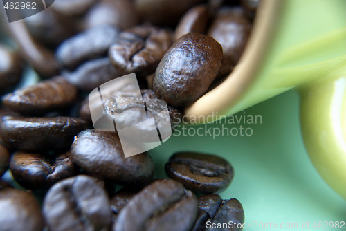 Image of Brazilian coffee grains in a cup