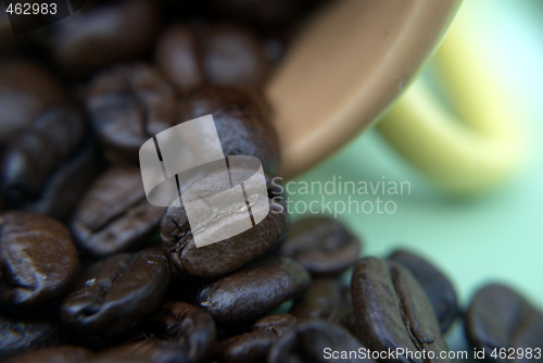 Image of Brazilian coffee grains in a cup