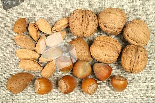 Image of Diverse nuts