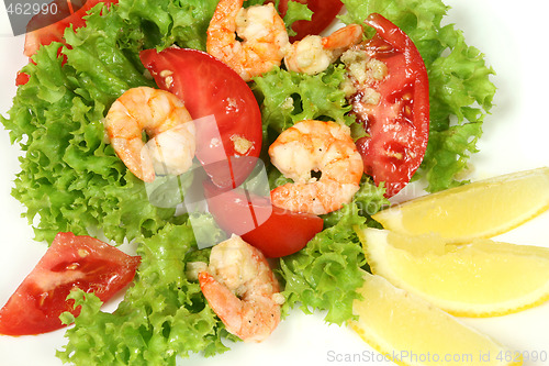 Image of Shrimp salad