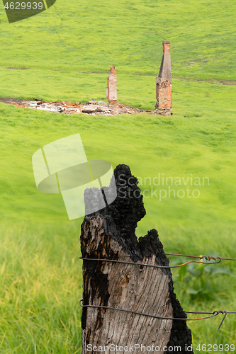 Image of Lush green grass replaces the burnt fields of Cobargo after bush