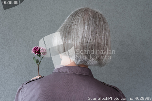 Image of Elegant gray-haired woman holding red flower