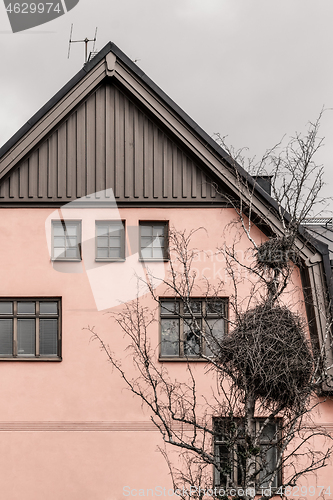 Image of Huge bird nest in front of a pink house