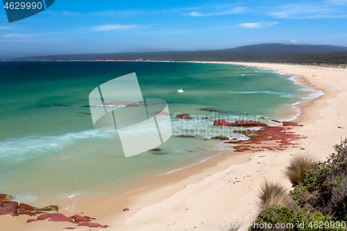 Image of Beautiful beaches of Eden coast