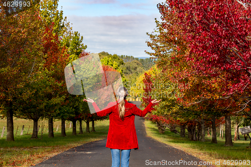 Image of Woman stands among the rows of deciduous trees in Autumn