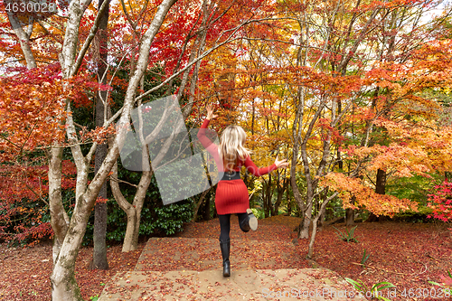 Image of Running through the garden during Autumn