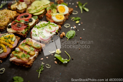 Image of Top view of different decorated sandwiches as appetizer. Healthy food. Vegetable meal
