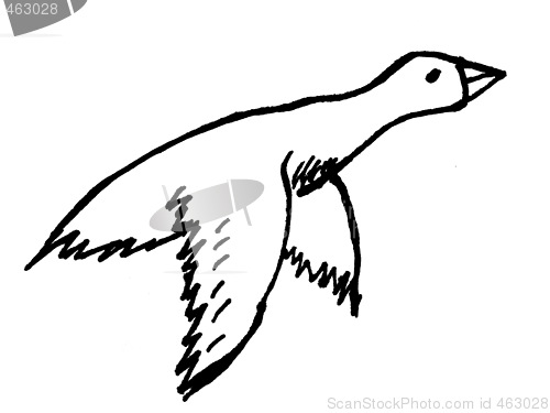Image of goose