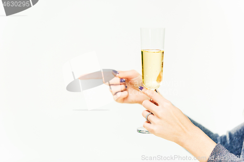 Image of Celebration. Female hands holding the glasse of champagne or wine making a toast.