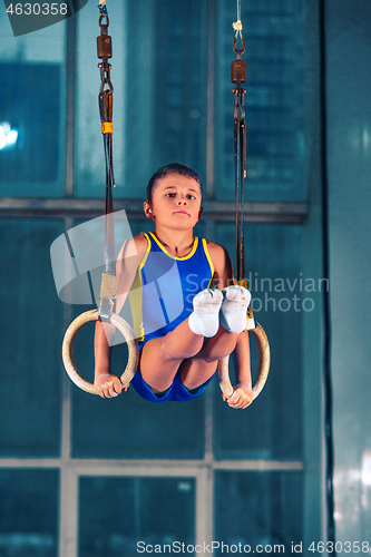 Image of Full length rearview shot of a male athlete performing pull-ups on gymnastic rings.