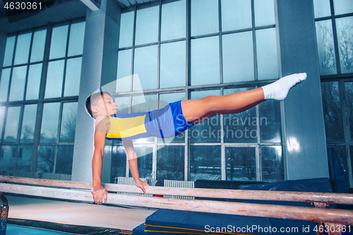 Image of beautiful boy is engaged in sports gymnastics on a parallel bars