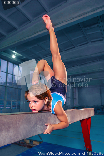 Image of beautiful girl is engaged in sports gymnastics on a log