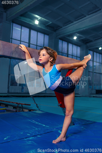 Image of beautiful girl is engaged in sports gymnastics on a log