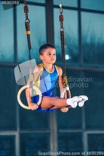 Image of Full length rearview shot of a male athlete performing pull-ups on gymnastic rings.