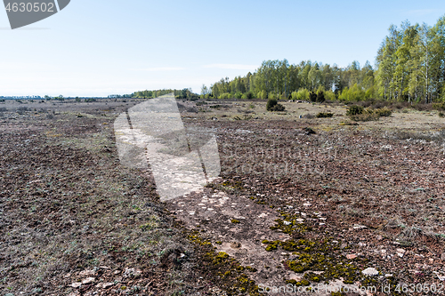 Image of Open limestone bedrock in a barren landscape