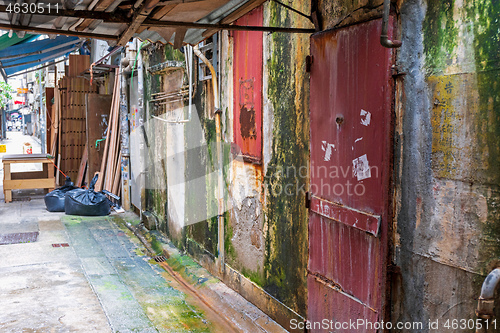 Image of Mold Back Alley