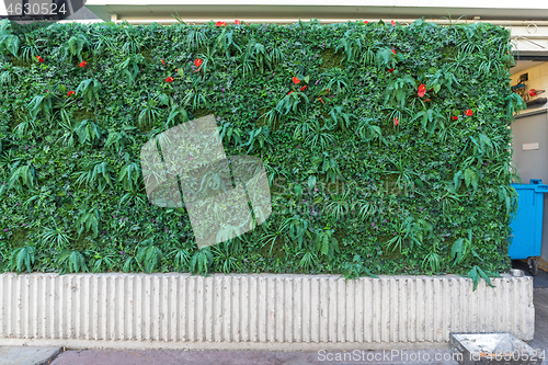 Image of Artificial Hedge