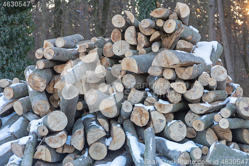 Image of Firewood Logs