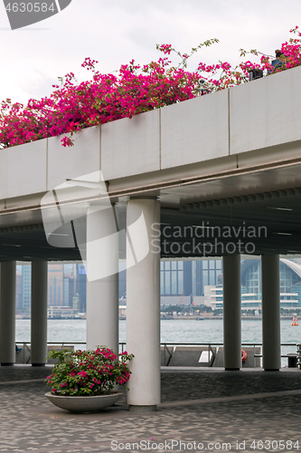 Image of Viewing Platform
